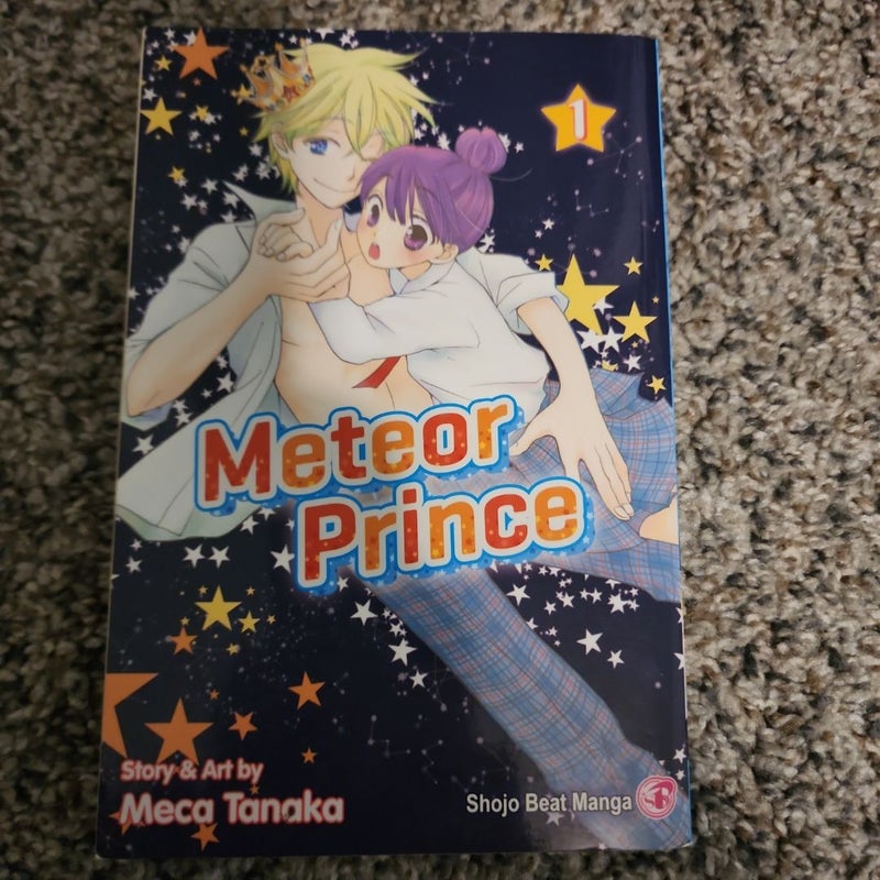 Meteor Prince, Vol. 1