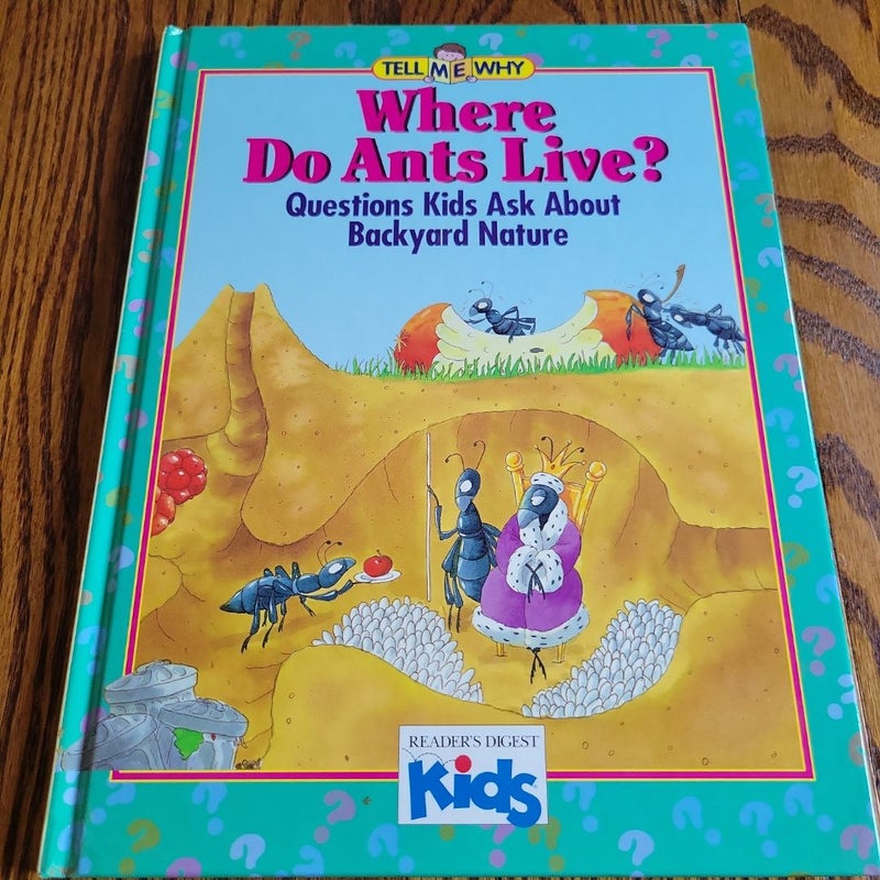 Where Do Ants Live?