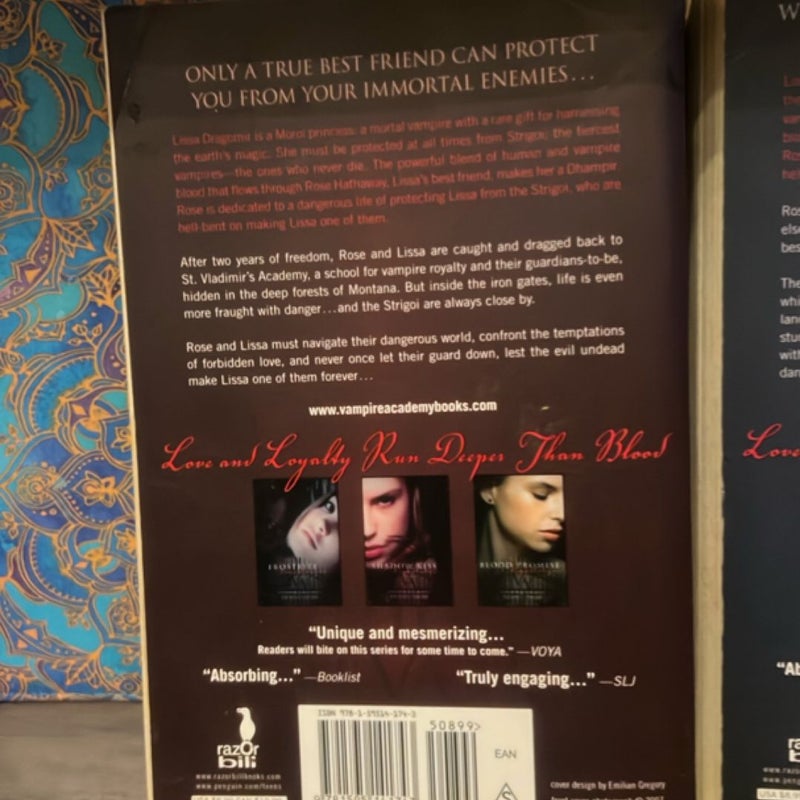 Vampire Academy Bundle