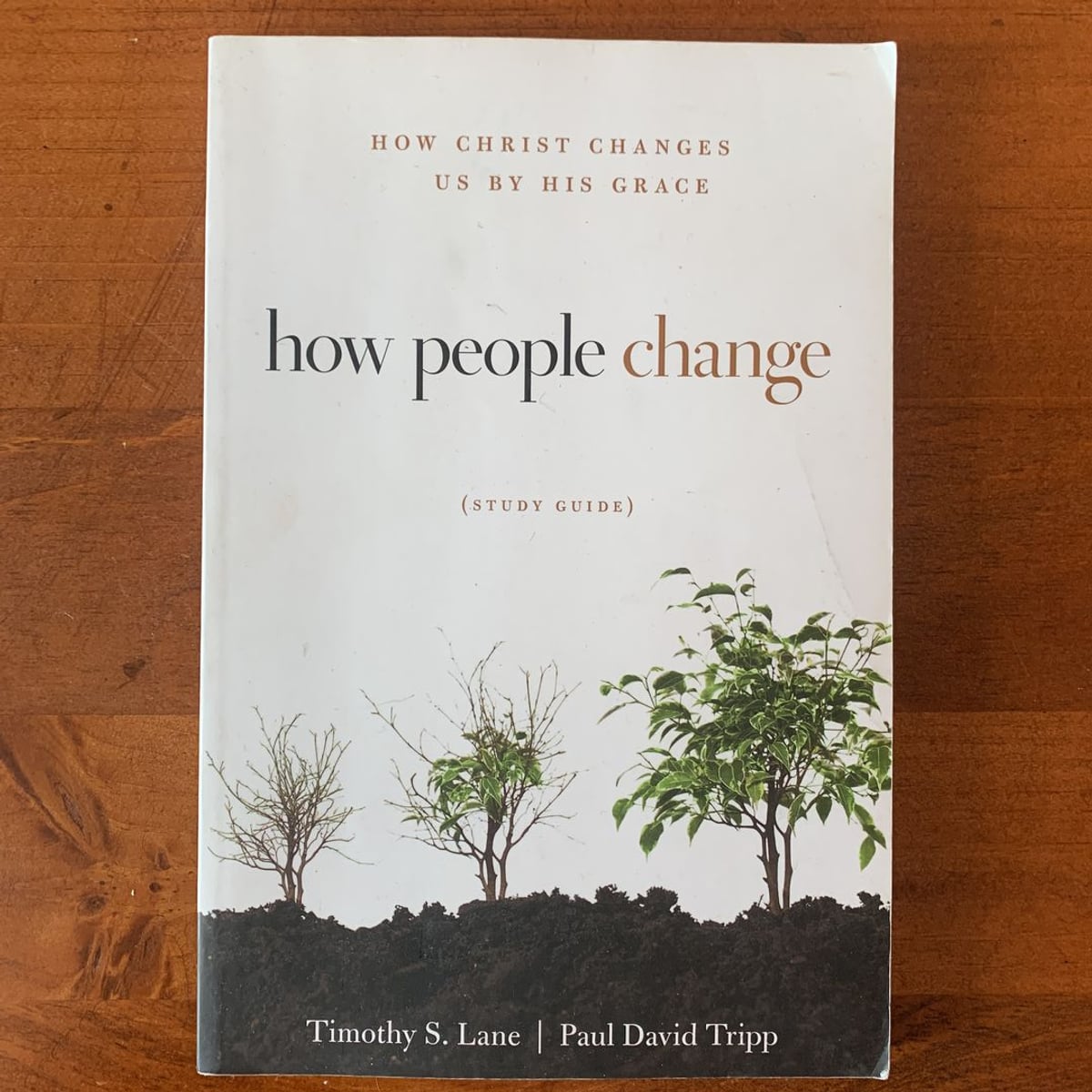 How People Change Study Guide by Paul David Tripp, Timothy S. Lane