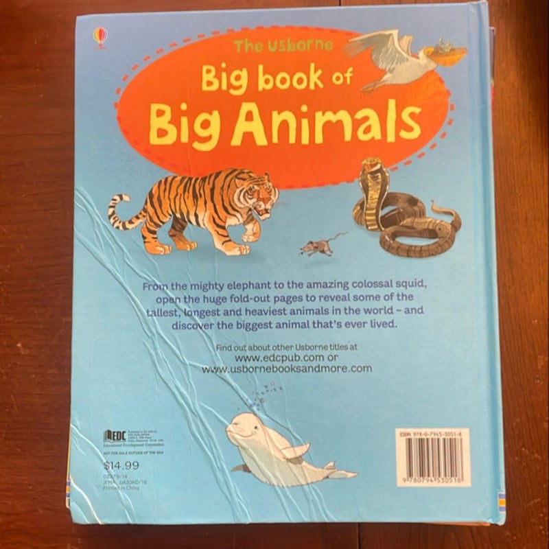 Usborne Big Book of Big Animals