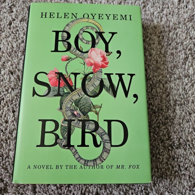 Boy, Snow, Bird