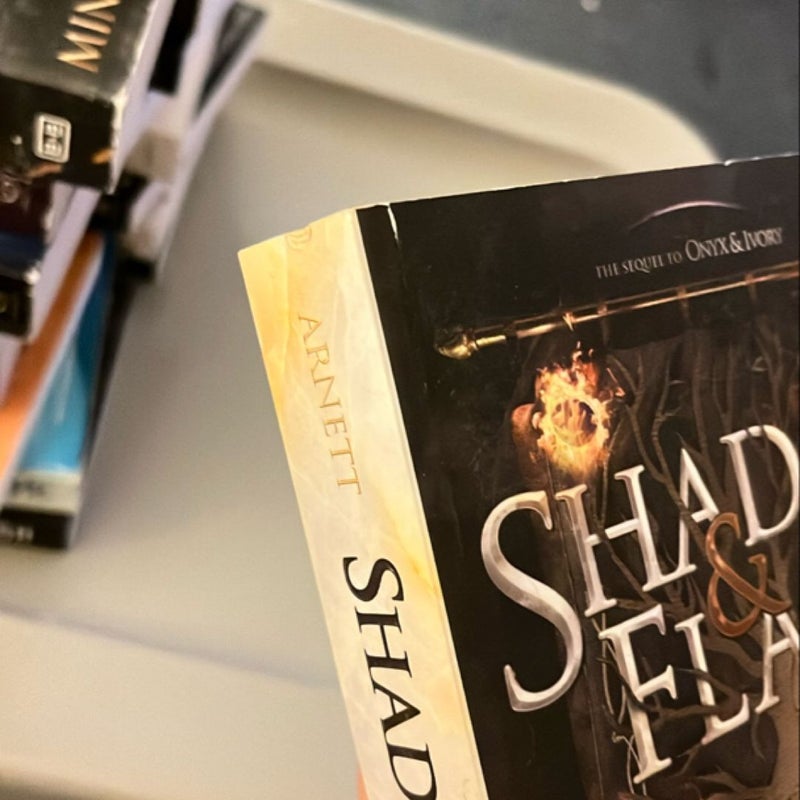 Shadow and Flame