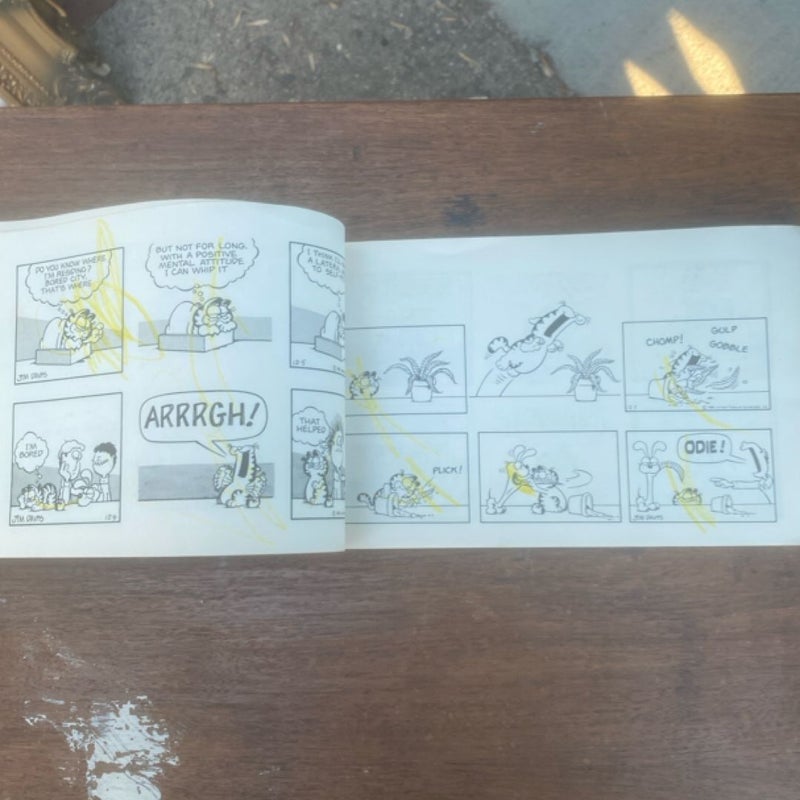 Garfield takes the Cake