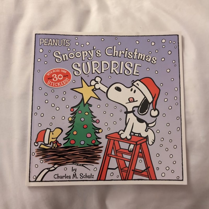 Peanuts Snoopy's Christmas Surprise 