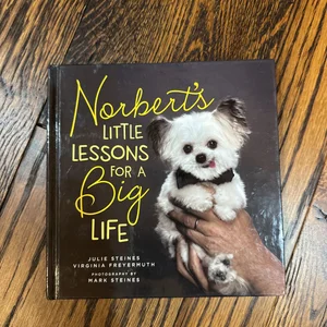 Norbert's Little Lessons for a Big Life