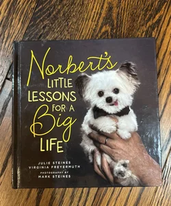 Norbert's Little Lessons for a Big Life