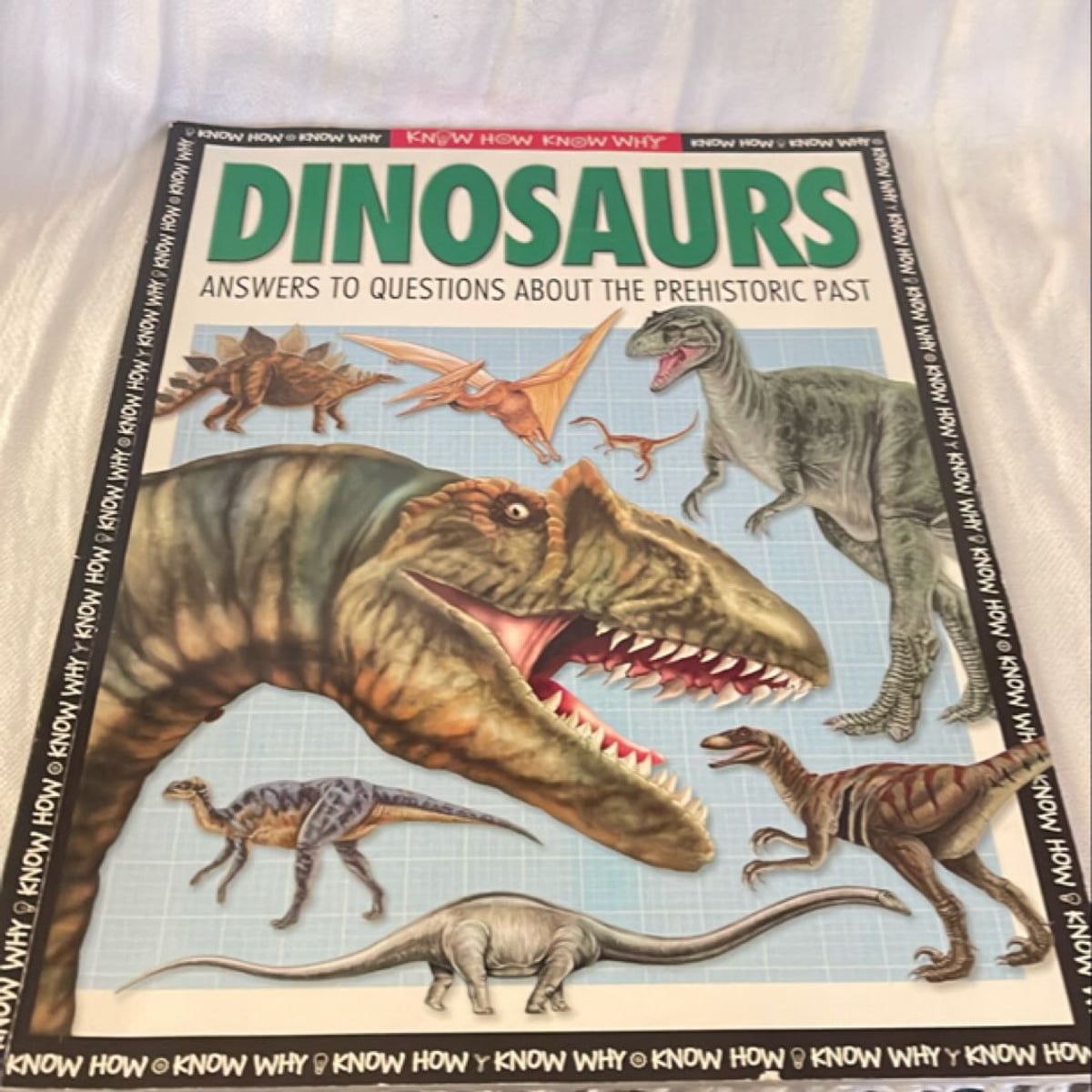 Know How Know Why Dinosaurs by Rupert Matthews