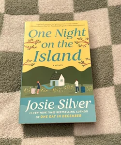 One Night on the Island