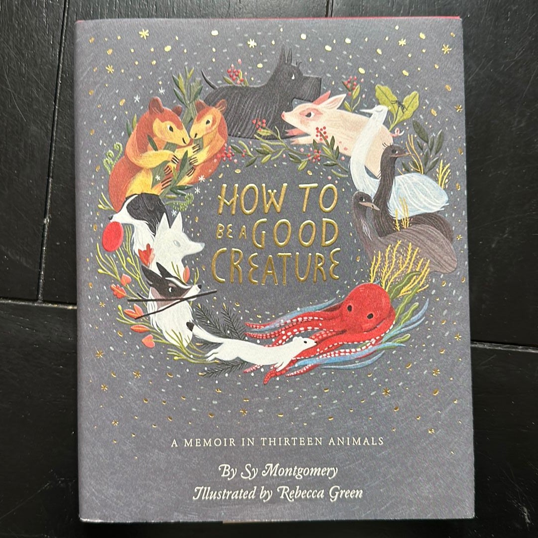 Sale image for d4815167-d538-4947-9813-9cf454605150-yfM7OR2XmzQ11VuCe5jy8JM0Fqr1