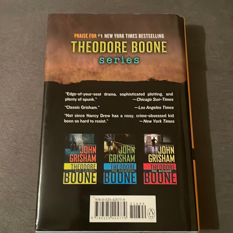 Theodore Boone: the Activist