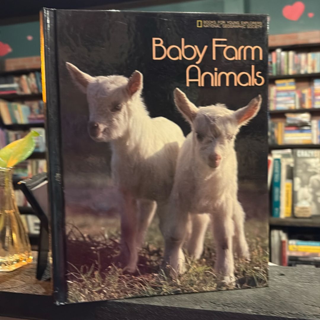 Baby Farm Animals