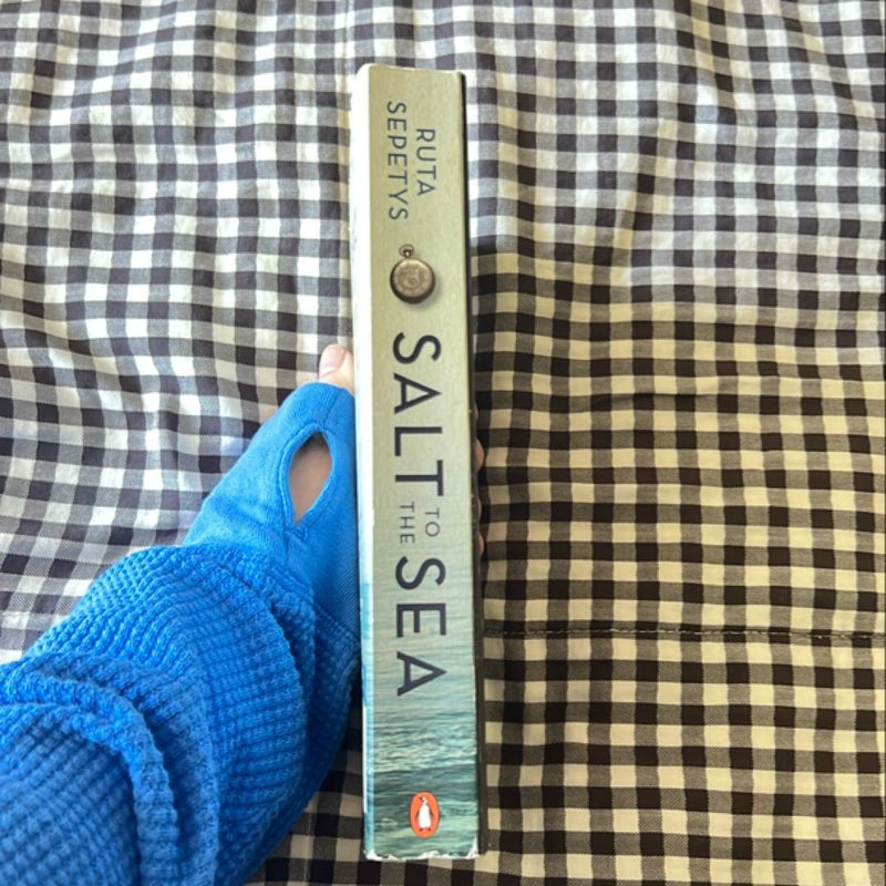 Salt to the Sea