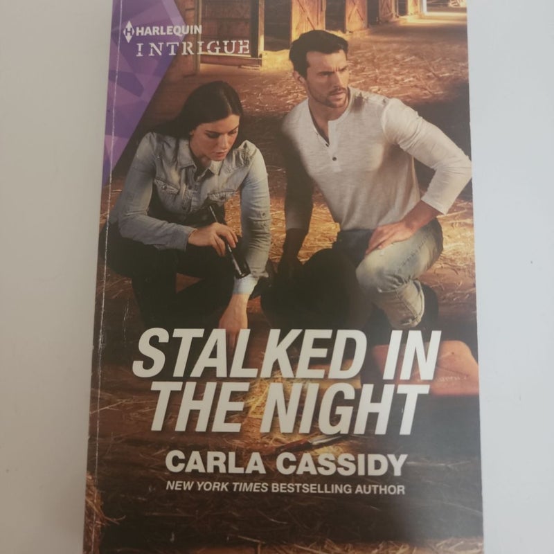 Stalked in the Night