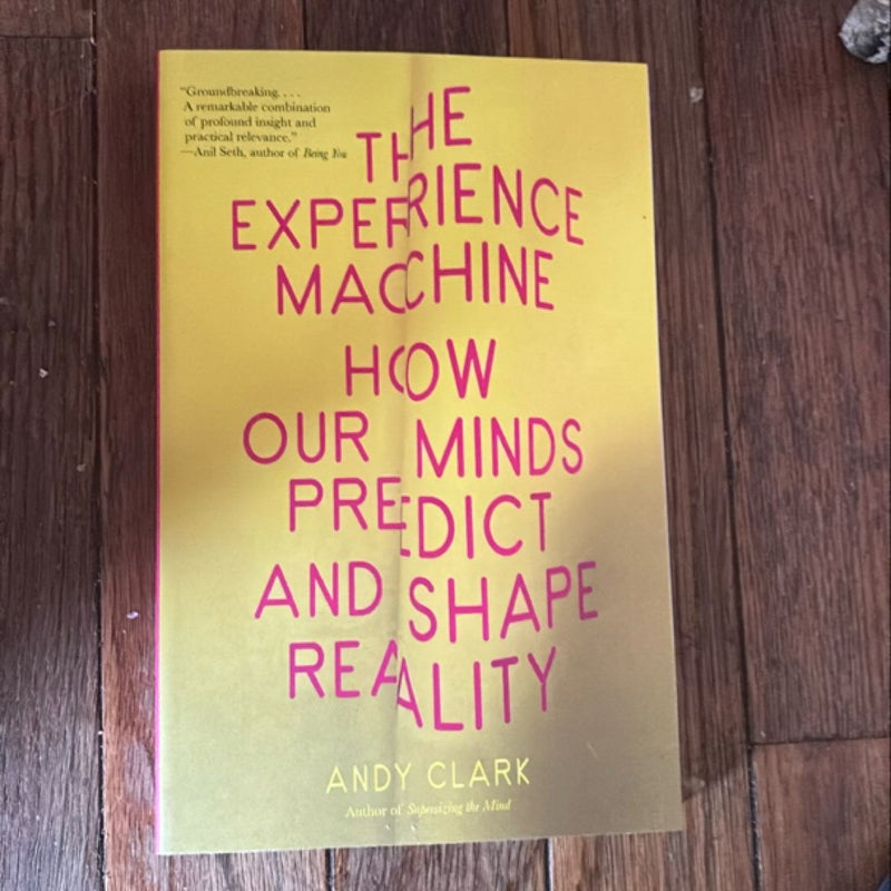 The Experience Machine