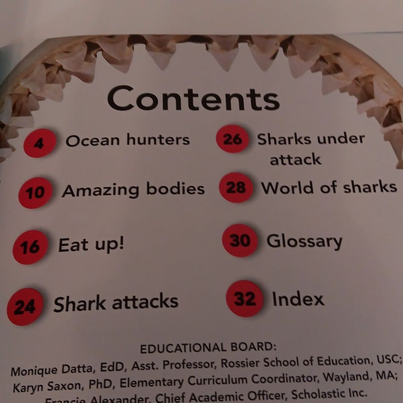 Scholastic Discover More Reader Level 2: Shark Attack!