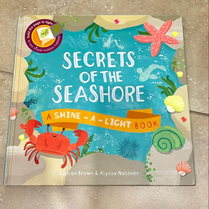 Secrets of the Seashore