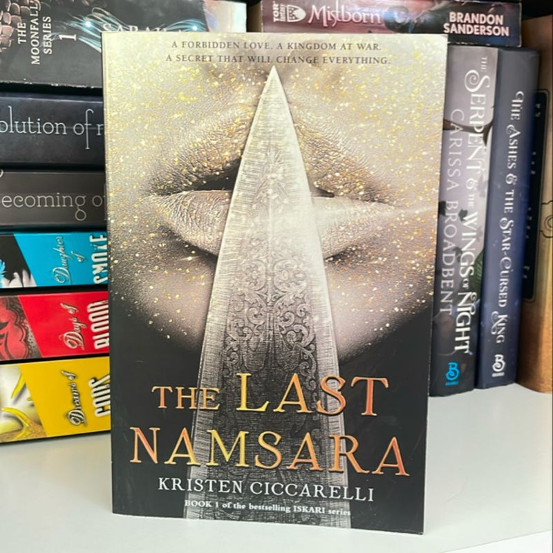 The Last Namsara