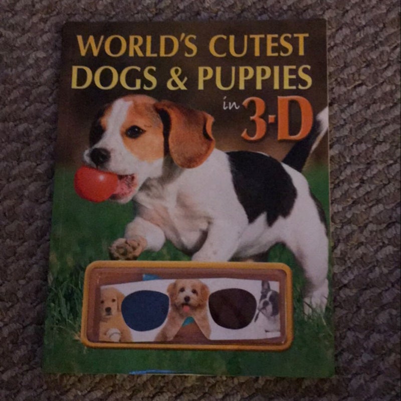 World’s Cutest Dogs & Puppies in 3D