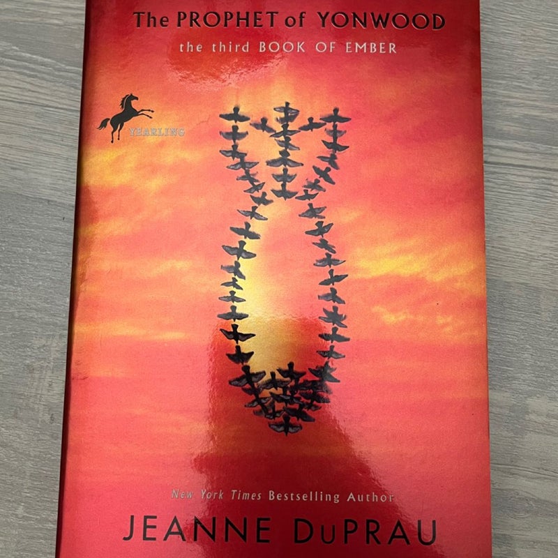The Prophet of Yonwood - Paperback