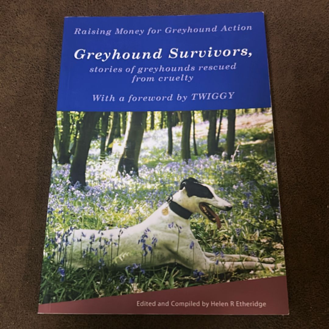 Greyhound Survivors