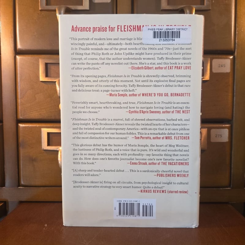 Fleishman Is in Trouble