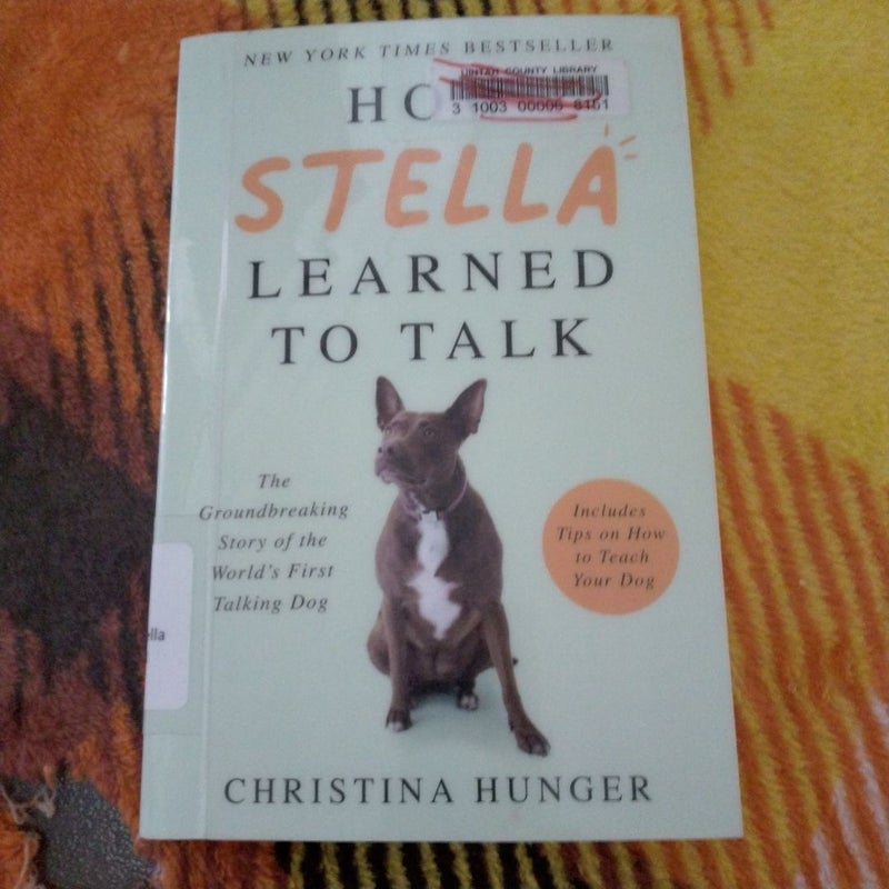 How Stella Learned to Talk