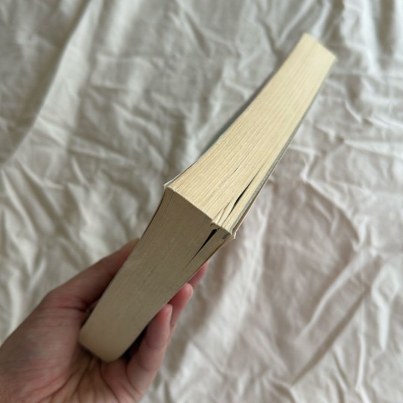 Tigers in Red Weather