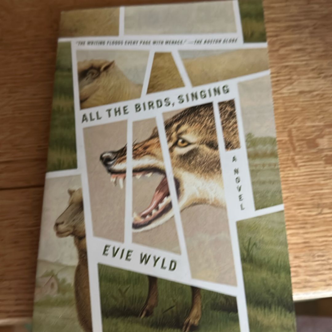 All the Birds, Singing