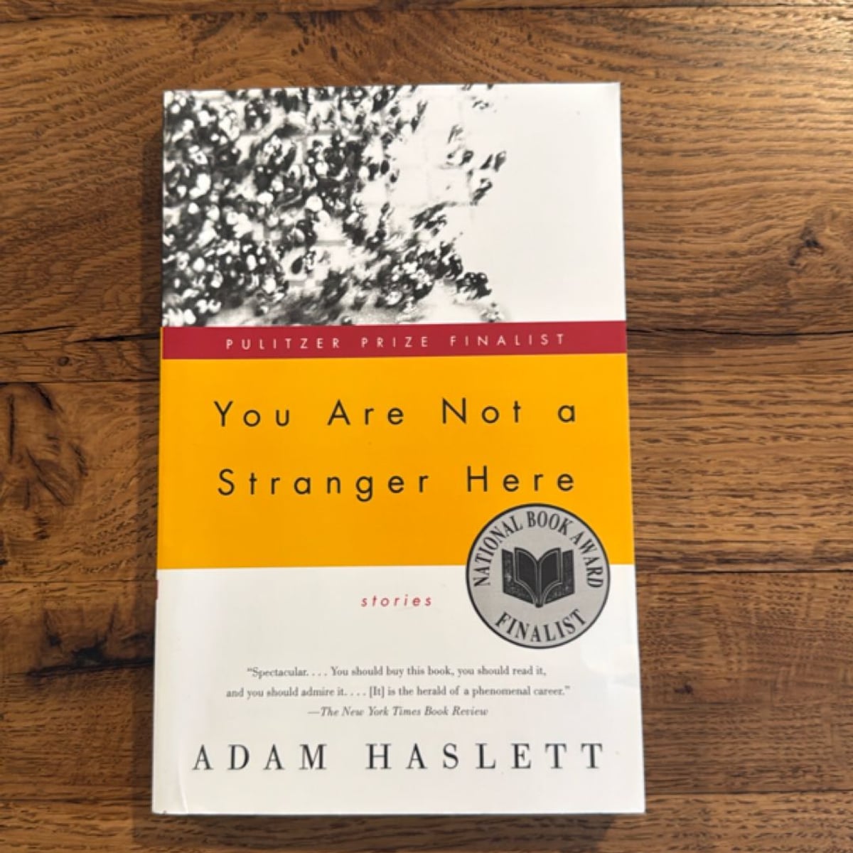 You Are Not a Stranger Here by Adam Haslett