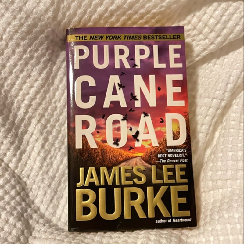 Purple Cane Road (2000)