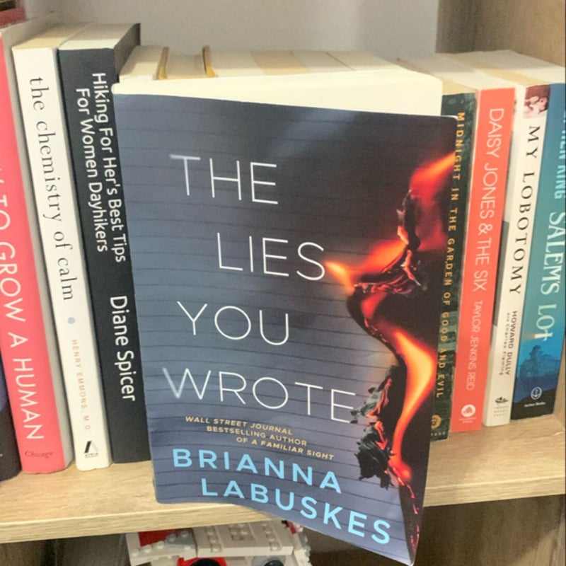 The Lies You Wrote