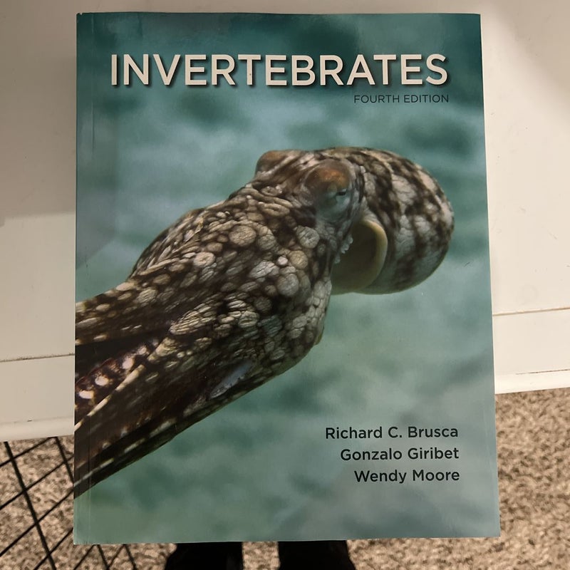 Invertebrates