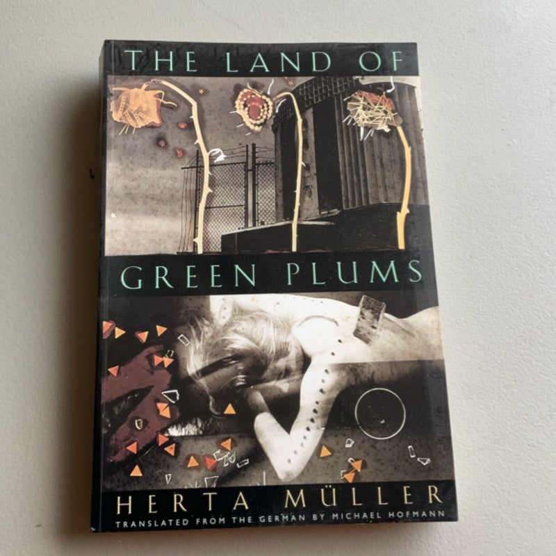 The Land of Green Plums