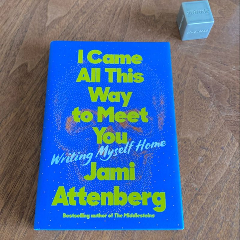 I Came All This Way to Meet You