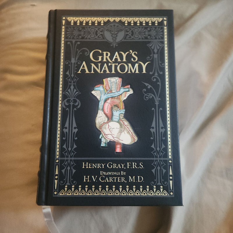 Gray's Anatomy (Barnes and Noble Collectible Classics: Omnibus Edition) by  H. V. Carter; Henry Gray, Hardcover