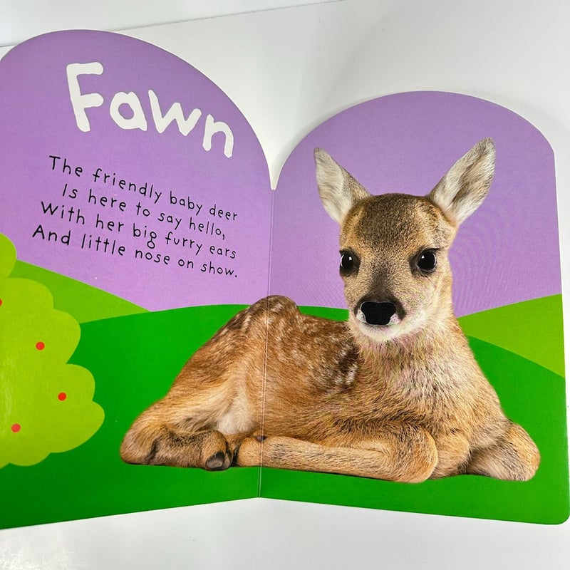 Easter Bunny Baby Touch and Feel