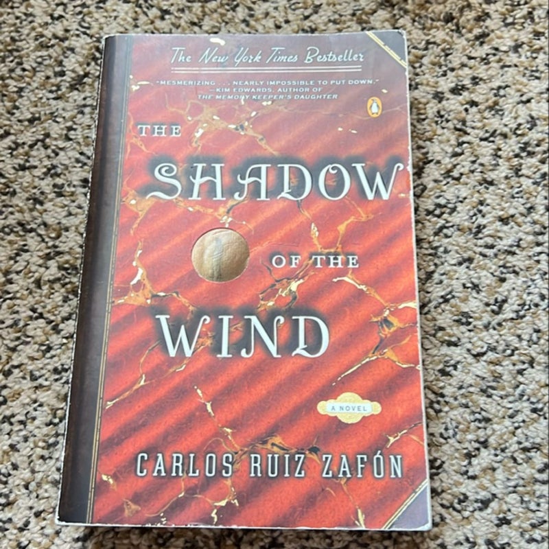 The Shadow of the Wind