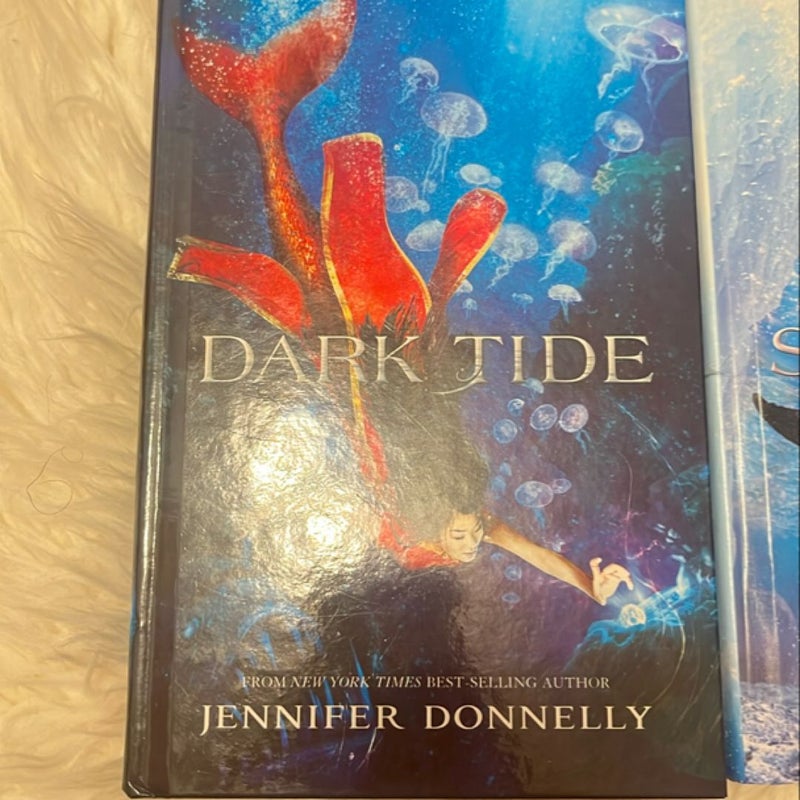 Waterfire Saga Series