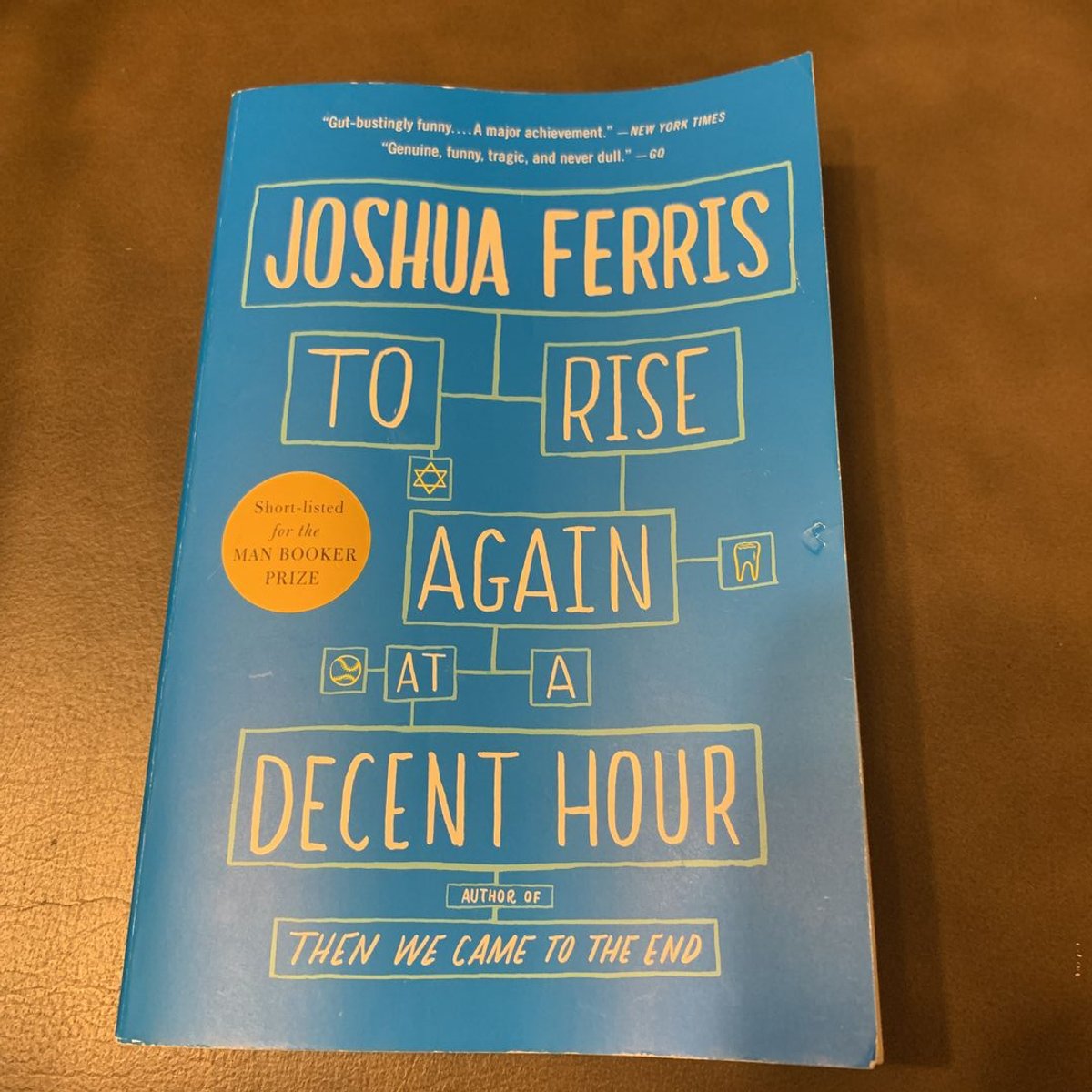 To Rise Again at a Decent Hour by Joshua Ferris