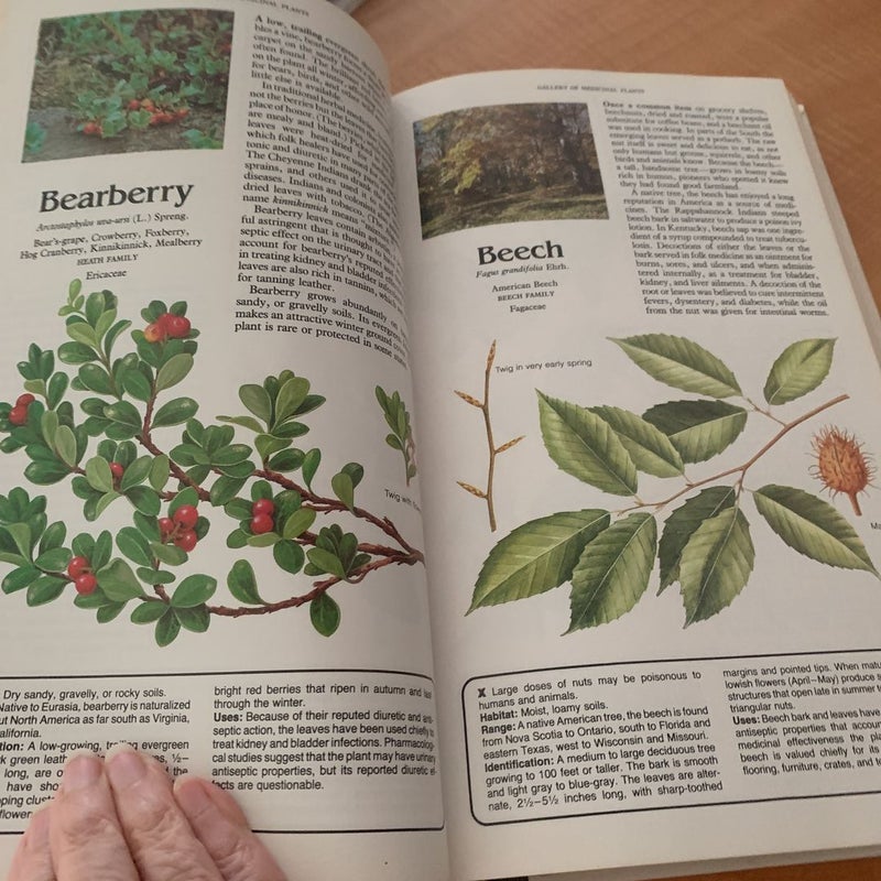 Magic and Medicine of Plants
