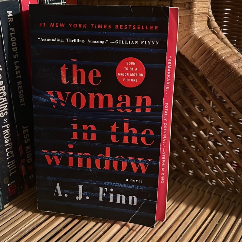 The Woman in the Window