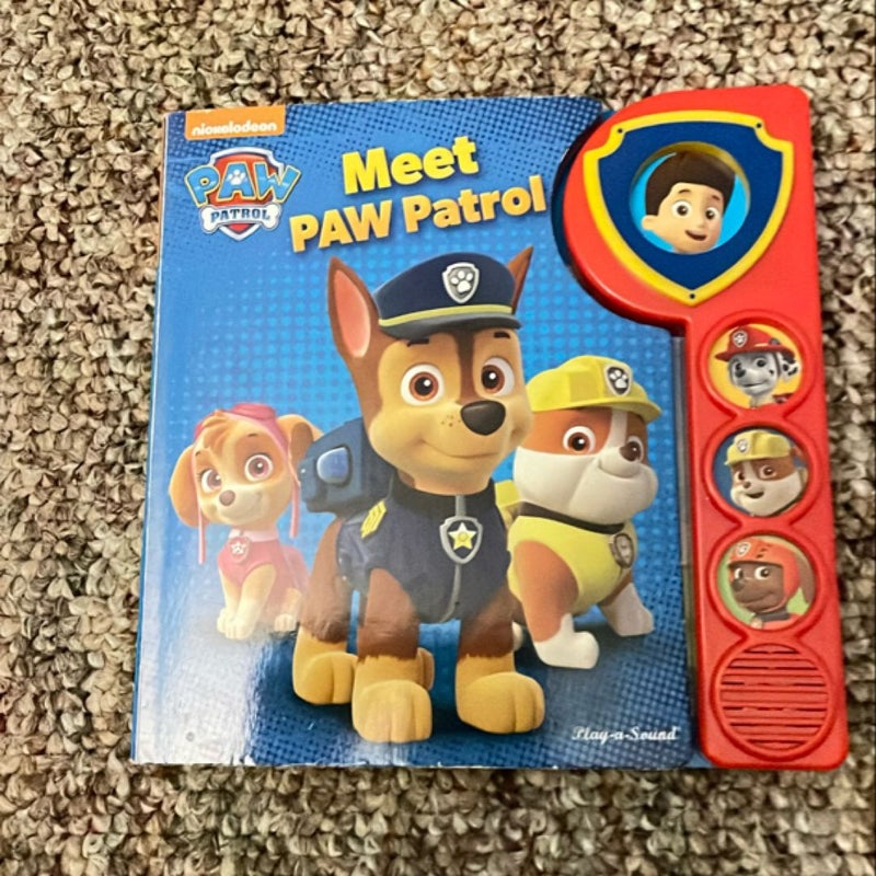 Paw Patrol Custom Frame O/P