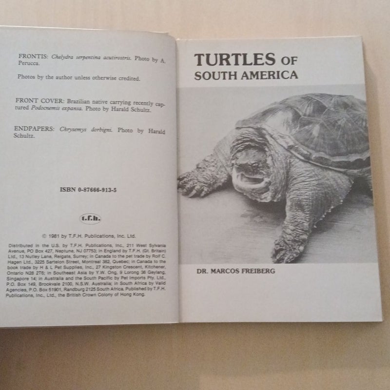 Turtles of South America