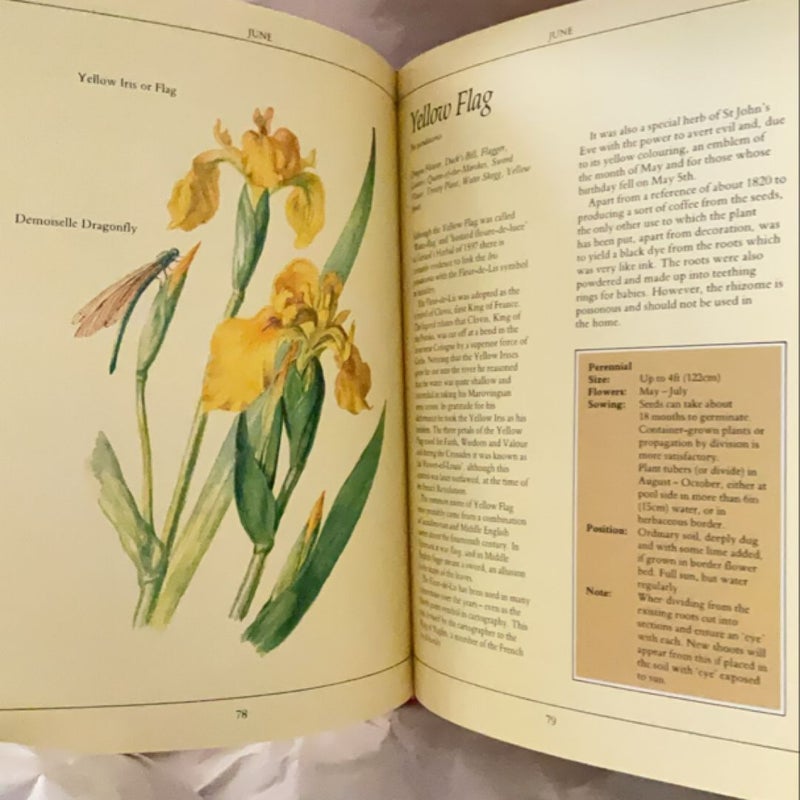 The Country Diary Book of Creating a Wild Flower Garden