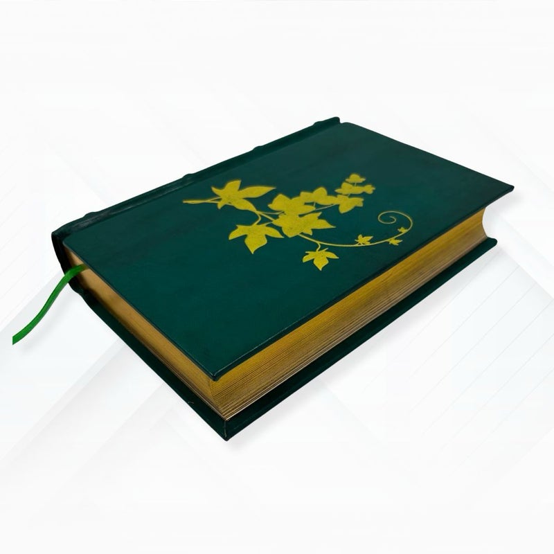 Viridarium Umbris by Daniel A. Schulke: Leather-Bound Occult Classic