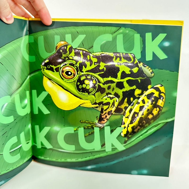 Noisy Frog Sing-Along