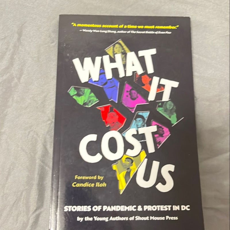 What It Cost Us