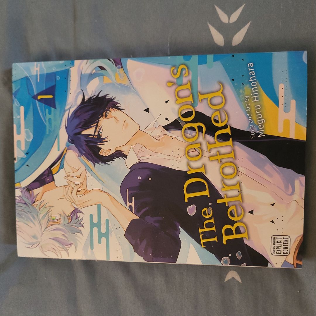 The Dragon's Betrothed, Vol. 1