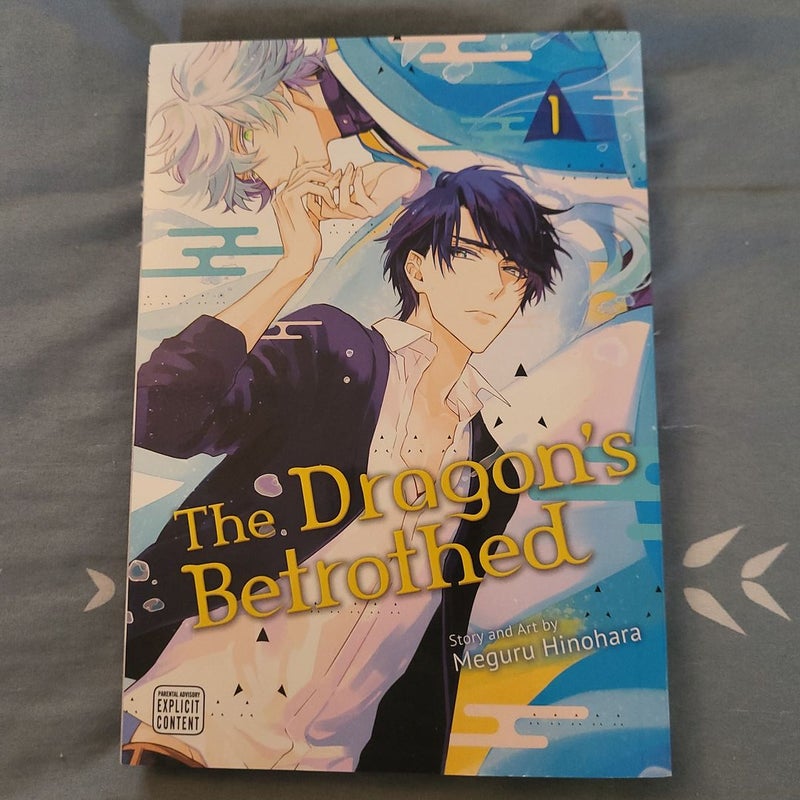 The Dragon's Betrothed, Vol. 1